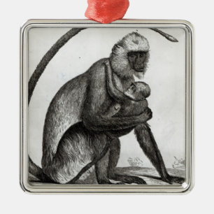 Brazilian Monkey Metal Ornament
