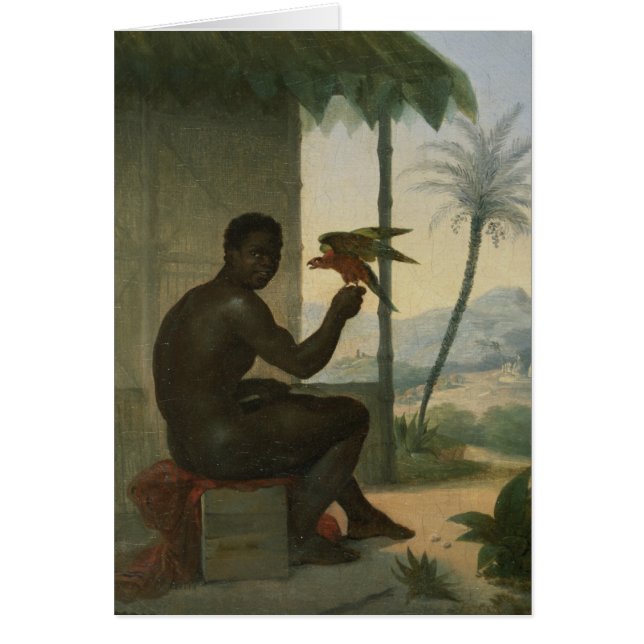 Brazilian negro with Tropical Bird (Front)