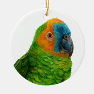Brazilian Parrot Ceramic Ornament