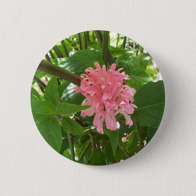 Brazilian plume flower 2 inch round button (Front)