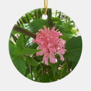 Brazilian plume flower ceramic ornament