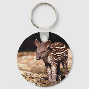 Brazilian Tapir, young calf beside river Keychain