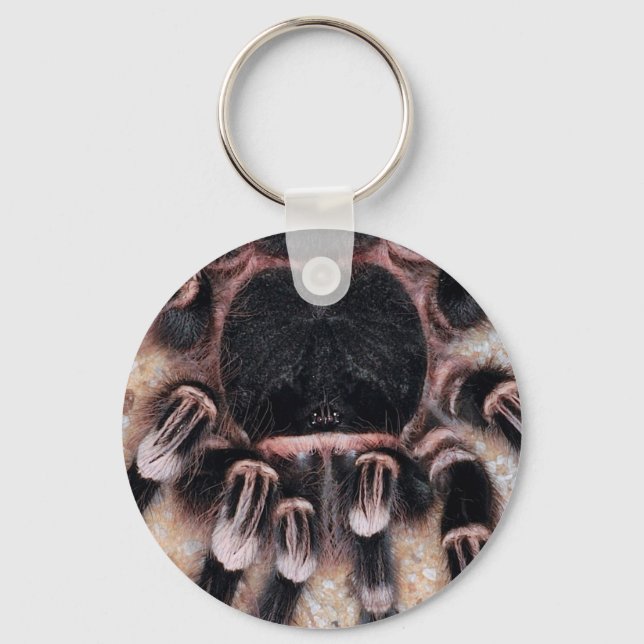 Brazilian White Knee Tarantula Keychain (Front)