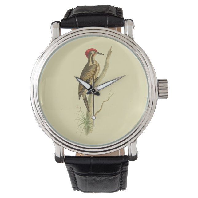 Brazillian Woodpecker Watch (Front)