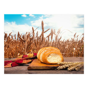 Bread in wheat field photo print
