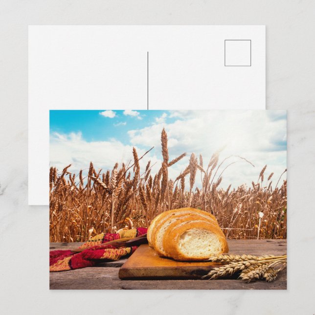 Bread in wheat field postcard (Front/Back)