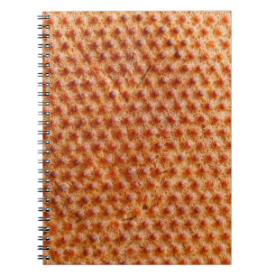 Bread texture with a lot of dots (after cooking on notebook