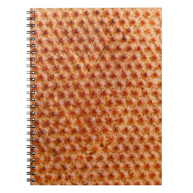 Bread texture with a lot of dots (after cooking on notebook (Front)