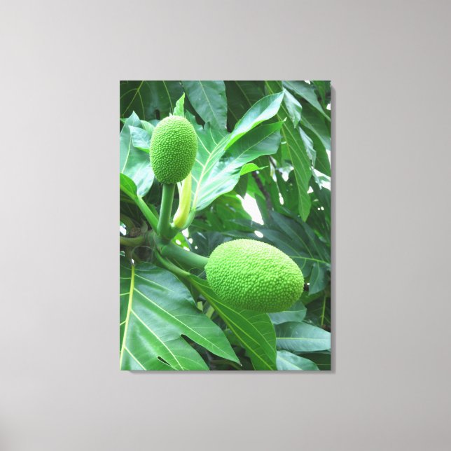 Breadfruit Canvas Print (Front)