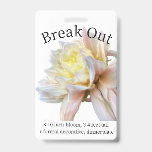 Break Out Dahlia ID Badge