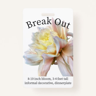 Break Out Dahlia ID Badge