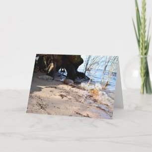 Breakers , Beachlife Card