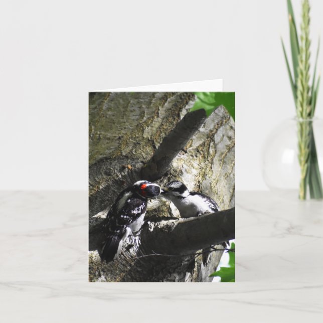 Breakfast (Downy Woodpecker #1) - Blank Note Card (Front)