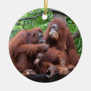 Breakfast with the Orangutans Singapore Zoo Ceramic Ornament