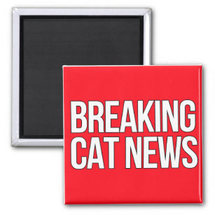 Breaking Cat News magnet