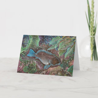 Breaksea cod Greeting Cards