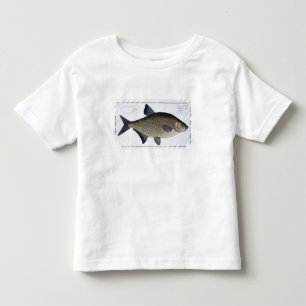 Bream (Cyprinus Brama) plate XIII from 'Ichthyolog Toddler T-shirt