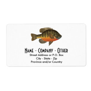 Bream Fishing