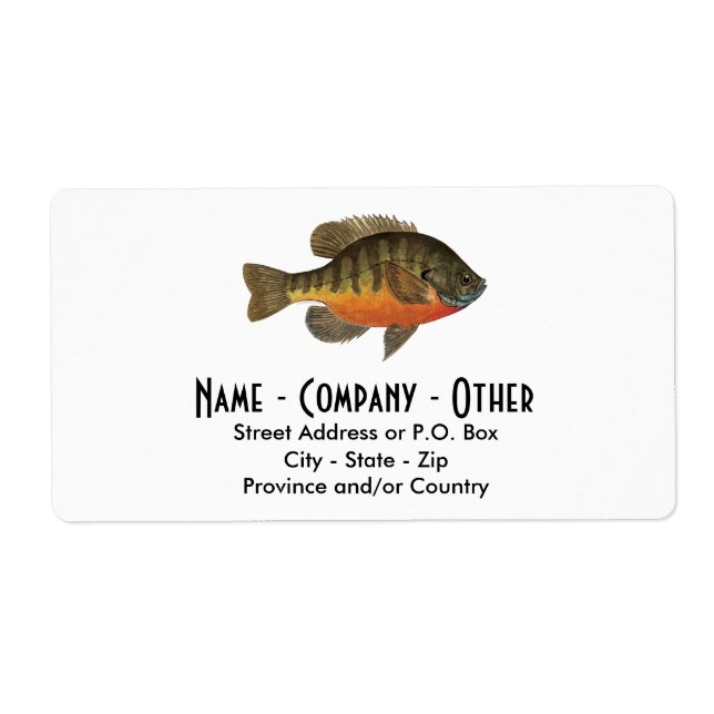 Bream Fishing (Front)