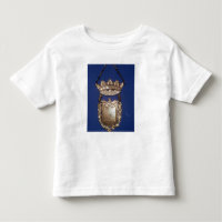 Breastplate or Shield for Torah Scroll