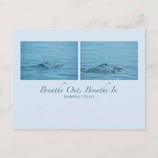 Breathe Out, Breathe In Postcard (Front)