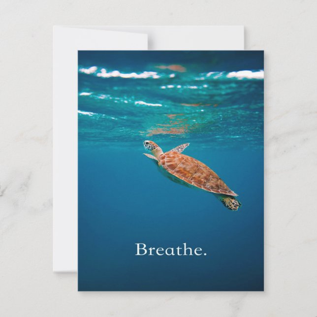 Breathe Turtle | Sea Turtle | Ocean Lover Invitation (Front)