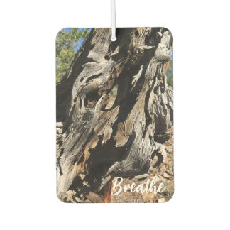 Breathe Unique Trees Woodland Nature Lover Air Freshener