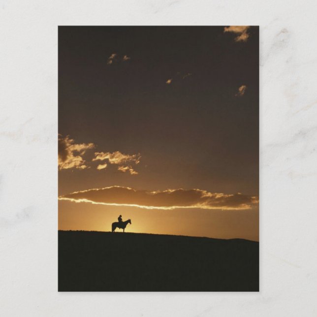 Breathtaking Cowboy Sunset Postcard (Front)