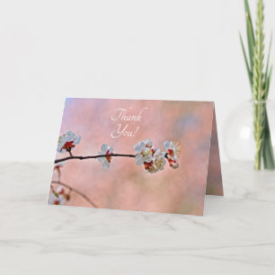 Breathtaking Japanese Apricot Flowers Thank You Card
