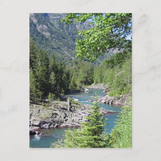 Breathtaking National Forest Postcard (Front)