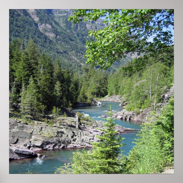 Breathtaking National Forest Poster (Front)