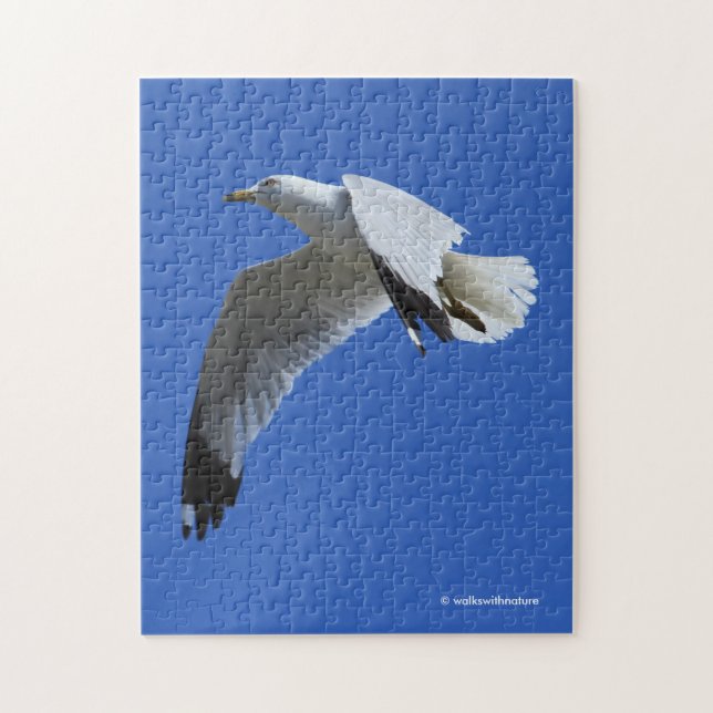 Breathtaking Ring-Billed Gull in Flight Jigsaw Puzzle (Vertical)