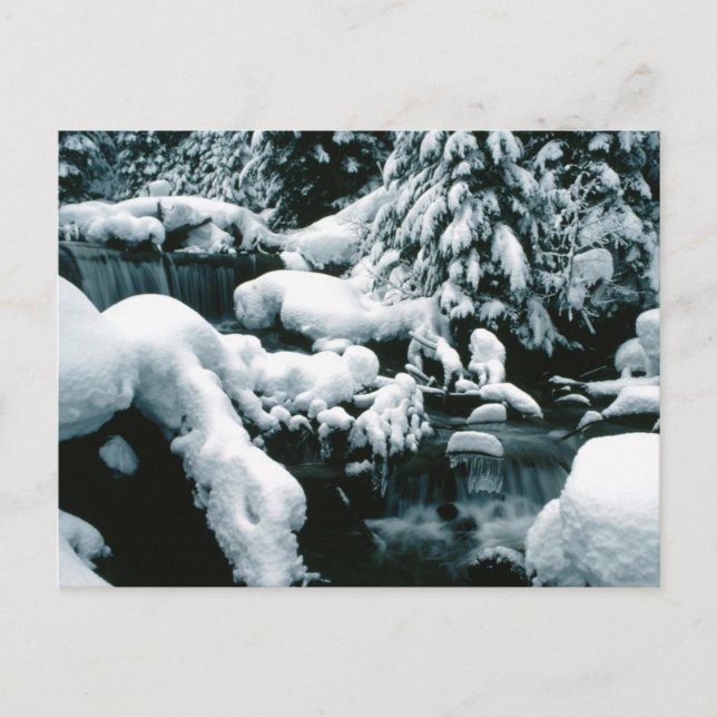 Breathtaking Winter Scene Postcard (Front)