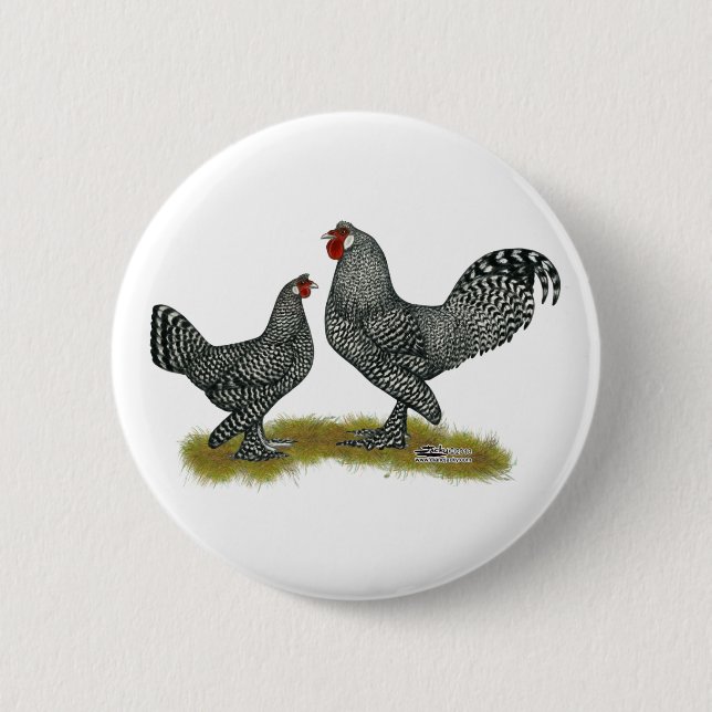 Breda Chickens Cuckoo 2 Inch Round Button (Front)