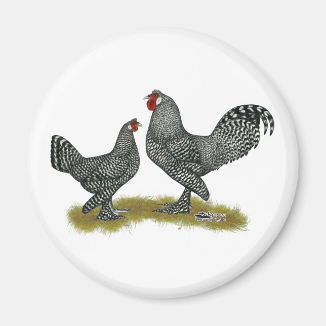 Breda Chickens Cuckoo Magnet (Front)