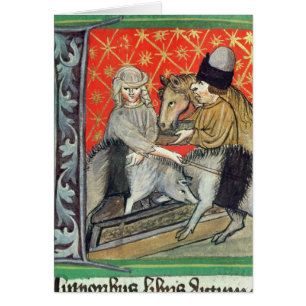 Breeding pigs and horses