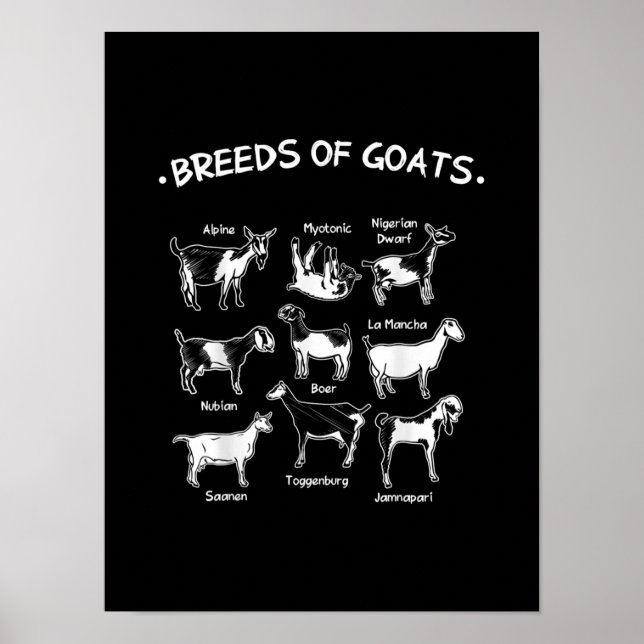 Breeds Of Goats Farmer Goat Gift Poster (Front)