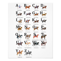Breeds Of Horse Alphabetically