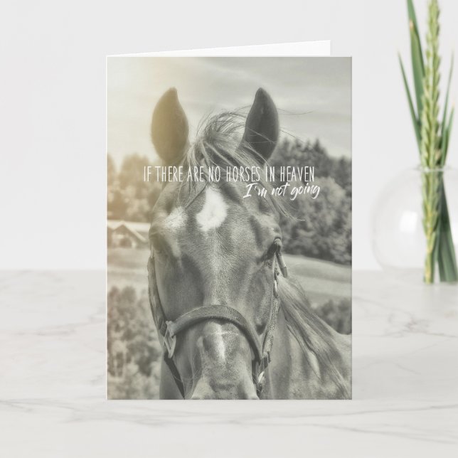 BREEZE de l'été Carte de voeux (Devant)