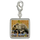 Le petit explorateur