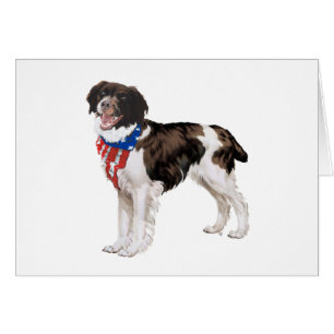 Bretagne patriotique