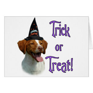 Bretagne Spaniel Trick