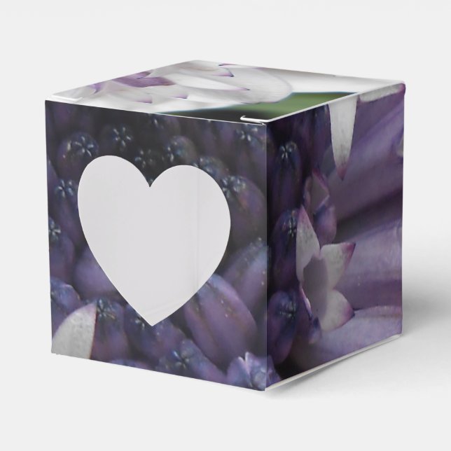Brett Favor Box (Front Side)