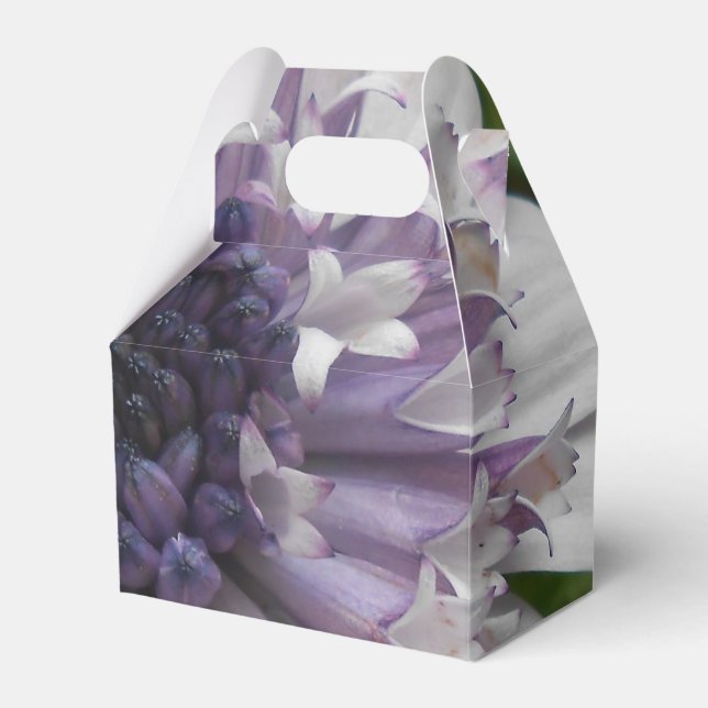 Brett Favor Box (Front Side)