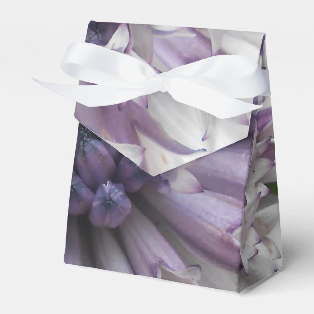 Brett Favor Box (Front Side)