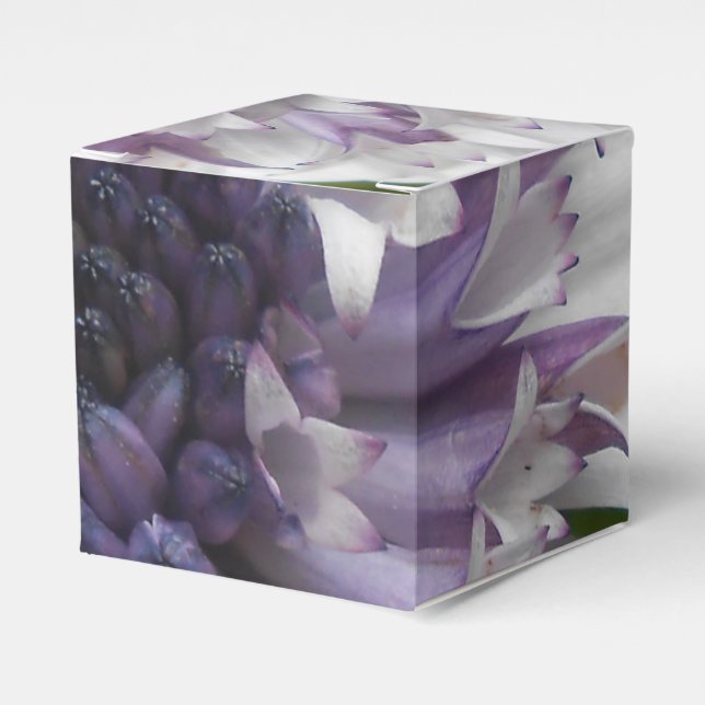 Brett Favor Box (Front Side)