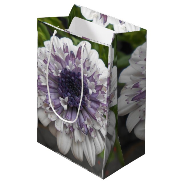 Brett Medium Gift Bag (Front Angled)