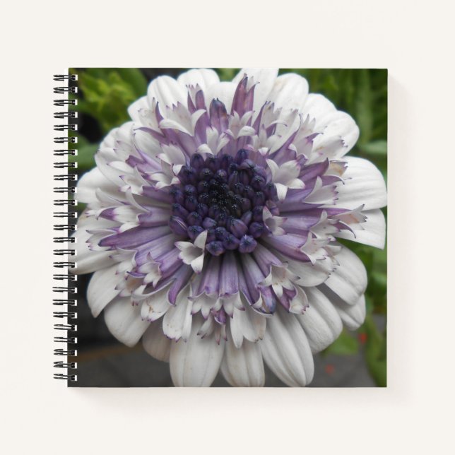 Brett Notebook (Front)