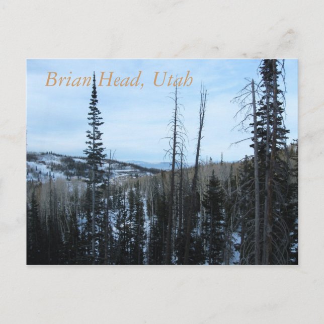 Brian Head, Utah Postcard (Front)