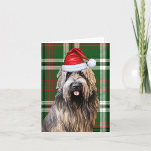 Briard Christmas Dog Green Plaid Christmas Holiday Card